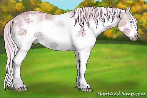Horse Color:Watercolor Plaid  White Spotted Chestnut Splash Frame 