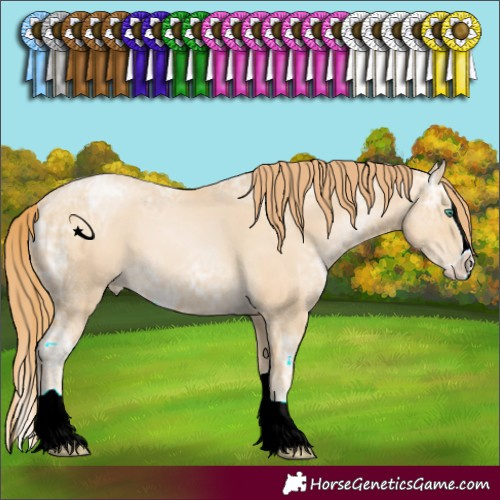 Horse Color:Smoky Black Ice Pearl Splash