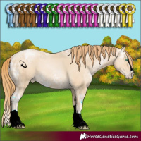 Horse Color:Smoky Black Ice Pearl Splash 