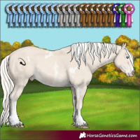 Horse Color:White Spotted Cremello Sabino