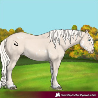 Horse Color:White Spotted Cremello Tobiano 
