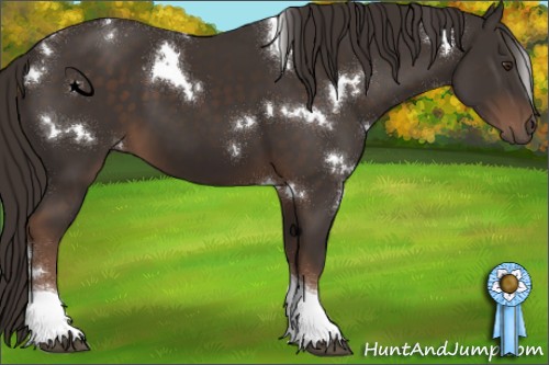 Horse Color:White Spotted Liver Chestnut Tobiano