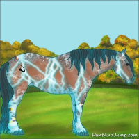 Horse Color:Thunderstruck Bay Ice Tobiano 