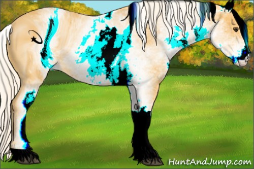Horse Color:ERROR: UNKNOWN ANOMALY