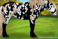 Horse Color:White Spotted Chestnut Tobiano Appaloosa