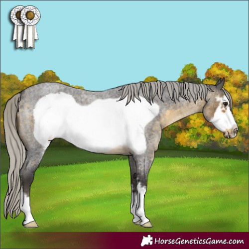 Horse Color:Silver Buckskin Roan Sabino Frame 
