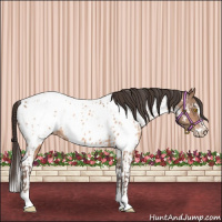 Horse Color:Amber Champagne Sabino Tobiano Appaloosa  and Amber Champagne Sabino Tobiano Appaloosa 