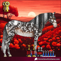 Horse Color:Brown Tobiano Appaloosa Rabicano 