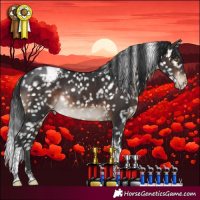 Horse Color:Brown Tobiano Appaloosa Rabicano 