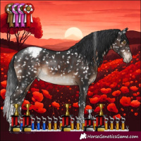 Horse Color:Brown Tobiano Appaloosa Rabicano 