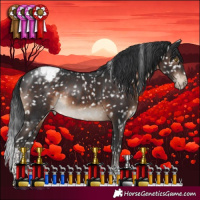 Horse Color:Brown Tobiano Snowcap Rabicano 