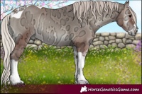 Horse Color:Silver Blue Onyx Ice Tobiano Rabicano 