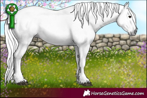 Horse Color:Gray Black Ice Tobiano Rabicano 