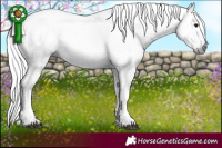Horse Color:Gray Black Ice Tobiano Rabicano 