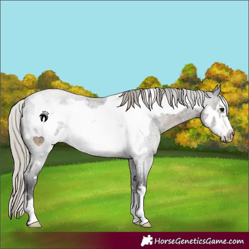 Horse Color:Silver Smoky Blue Roan Frame 