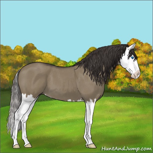 Horse Color:Smoky Grullo Roan Splash 