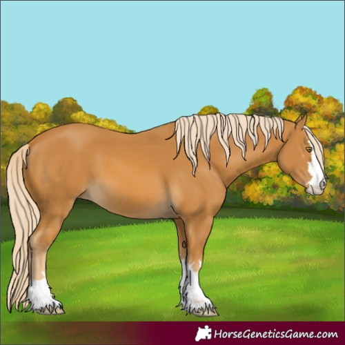 Horse Color:Unknown 