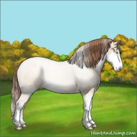 Horse Color:Buckskin Pearl Dun Sabino 