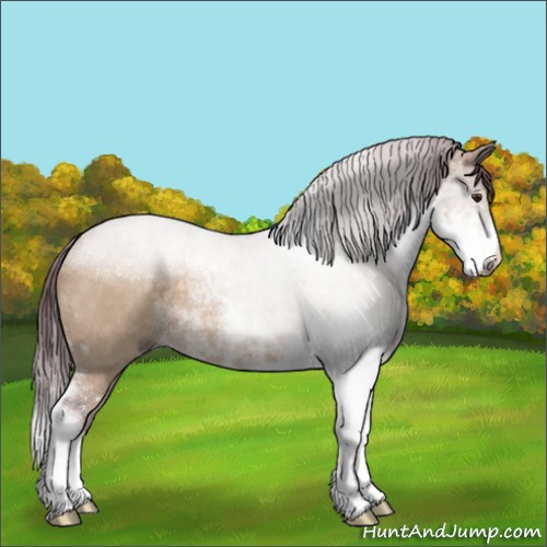 Horse Color:Chocolate Brown Dun Sabino 