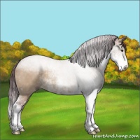 Horse Color:Chocolate Brown Dun Sabino 