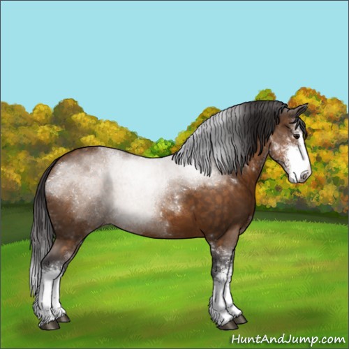Horse Color:Buckskin Sabino 