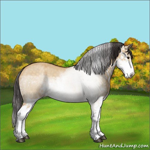 Horse Color:Buckskin Dun Sabino 