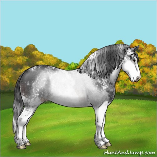 Horse Color:Brown Sabino Rabicano 