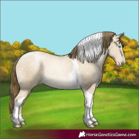 Horse Color:Buckskin Pearl Dun Sabino Tobiano