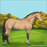 Horse Color:Bay Dun Tobiano 
