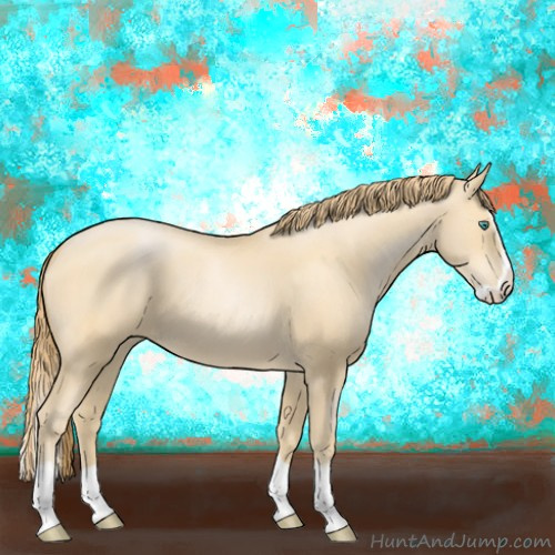 Horse Color:Smoky Black Pearl Splash 