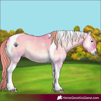 Horse Color:Watercolor Red Dun Onyx Tobiano 
