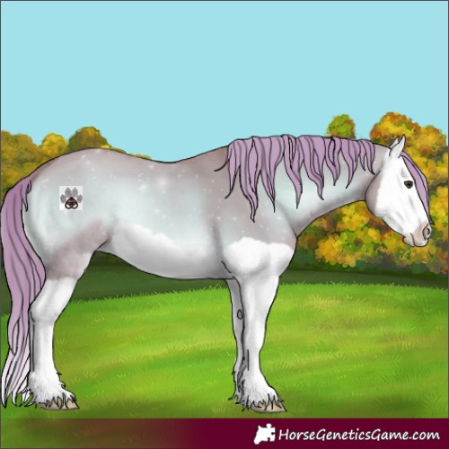 Horse Color:Watercolor Red Dun Onyx Splash 