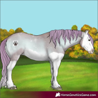 Horse Color:Watercolor Red Dun Onyx Splash 