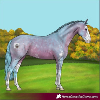 Horse Color:Watercolor Bay Sabino 