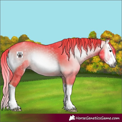 Horse Color:Gray Watercolor Red Onyx Splash