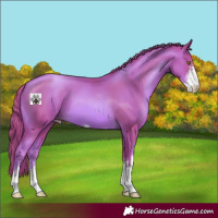 Horse Color:Watercolor Liver Chestnut Pearl Sabino