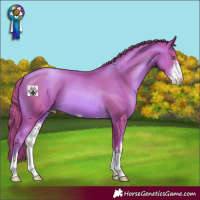 Horse Color:Watercolor Liver Chestnut Pearl Sabino