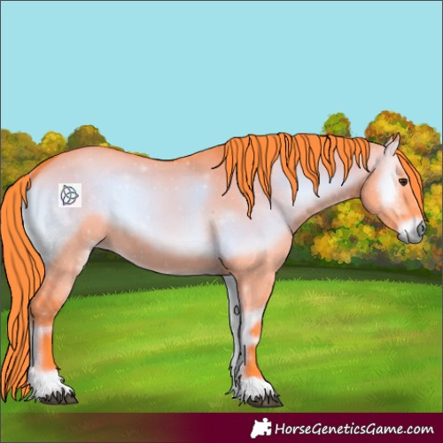 Horse Color:Watercolor Liver Red Dun Onyx