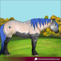 Horse Color:Void Watercolor Bay Onyx Splash