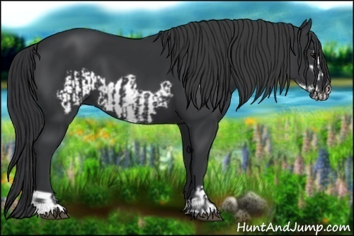 Horse Color:Black  and Black Frame 