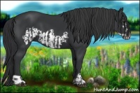 Horse Color:Black  and Black Frame 