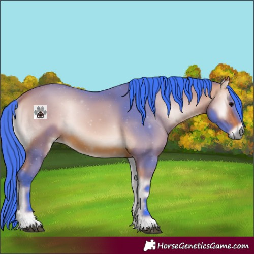 Horse Color:Watercolor Bay Onyx 