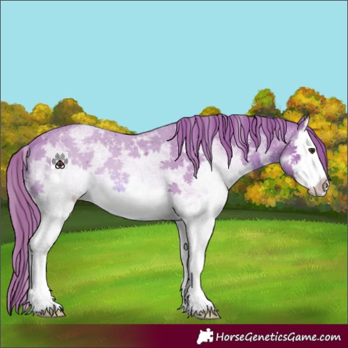 Horse Color:Watercolor White Spotted Chestnut Splash 