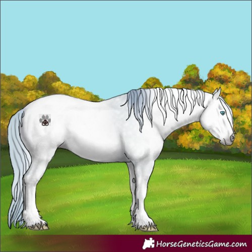 Horse Color:Gray Watercolor Buckskin Pearl Dun Tobiano 