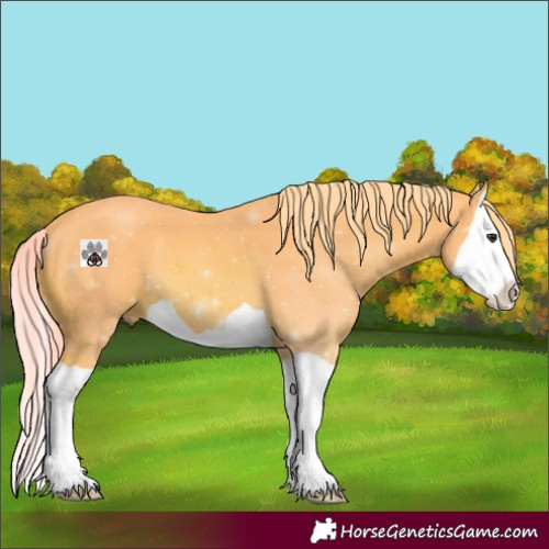 Horse Color:Watercolor Chestnut Splash 