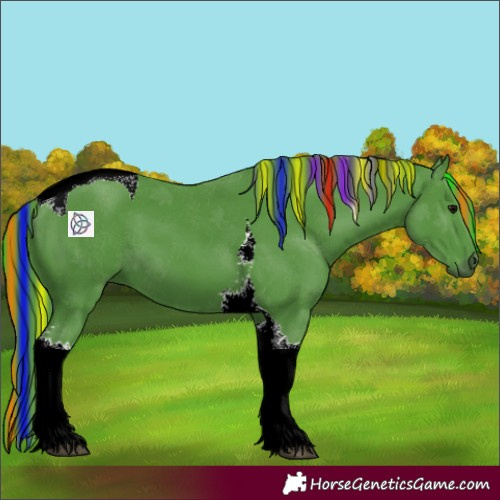 Horse Color:Painted Watercolor Black Tobiano 