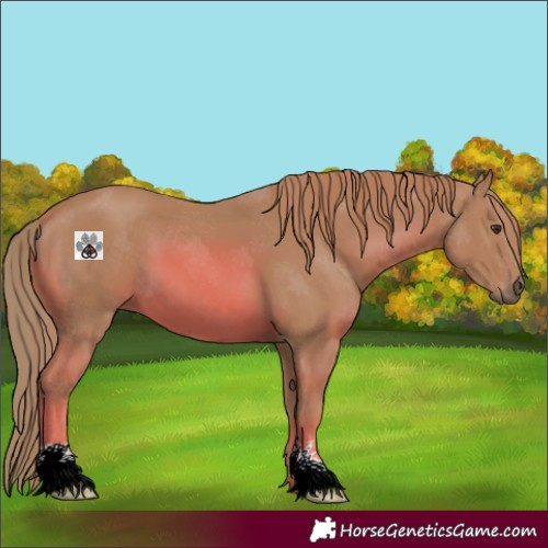 Horse Color:Watercolor Chestnut 