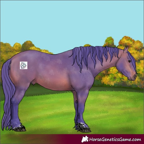 Horse Color:Watercolor Bay 