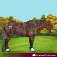 Horse Color:Nacre Bay Ice