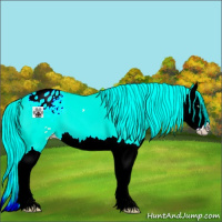 Horse Color:Gold Cream Champagne Roan Dun Splash Appaloosa 